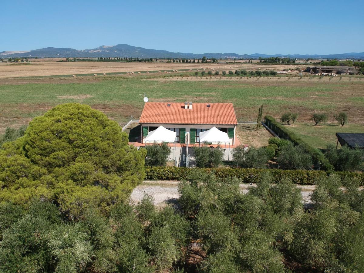 Agriturismo Olivomare Piombino Zewnętrze zdjęcie