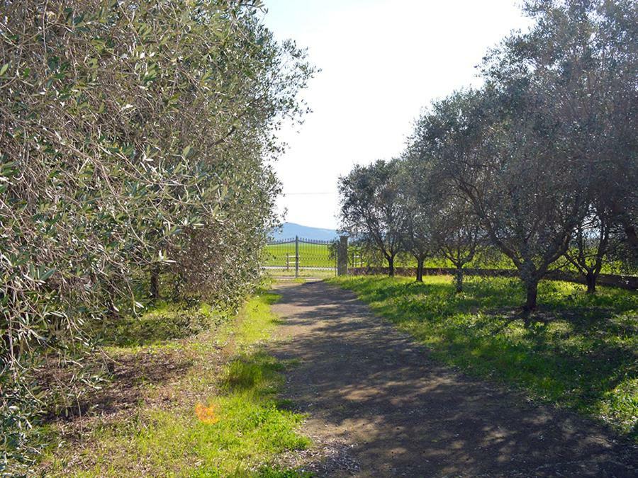 Agriturismo Olivomare Piombino Zewnętrze zdjęcie