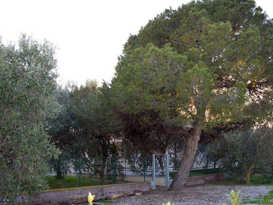 Agriturismo Olivomare Piombino Zewnętrze zdjęcie