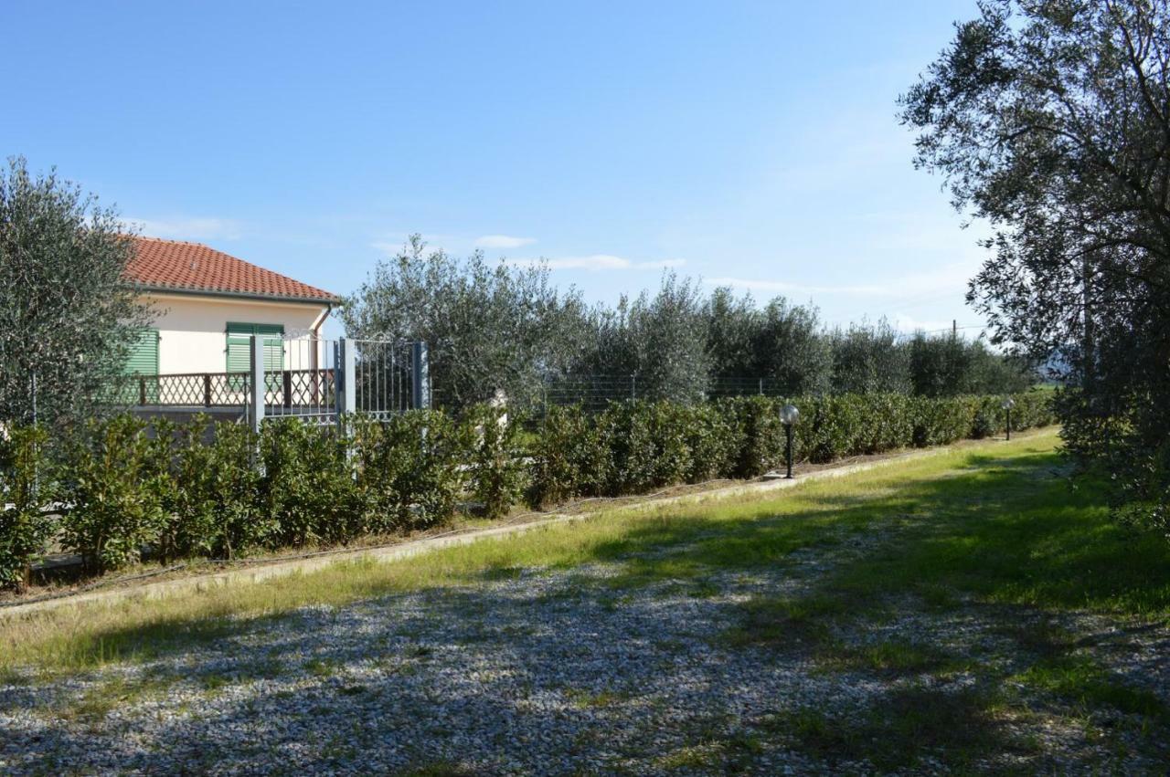 Agriturismo Olivomare Piombino Zewnętrze zdjęcie