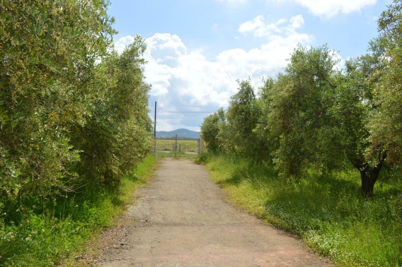 Agriturismo Olivomare Piombino Zewnętrze zdjęcie